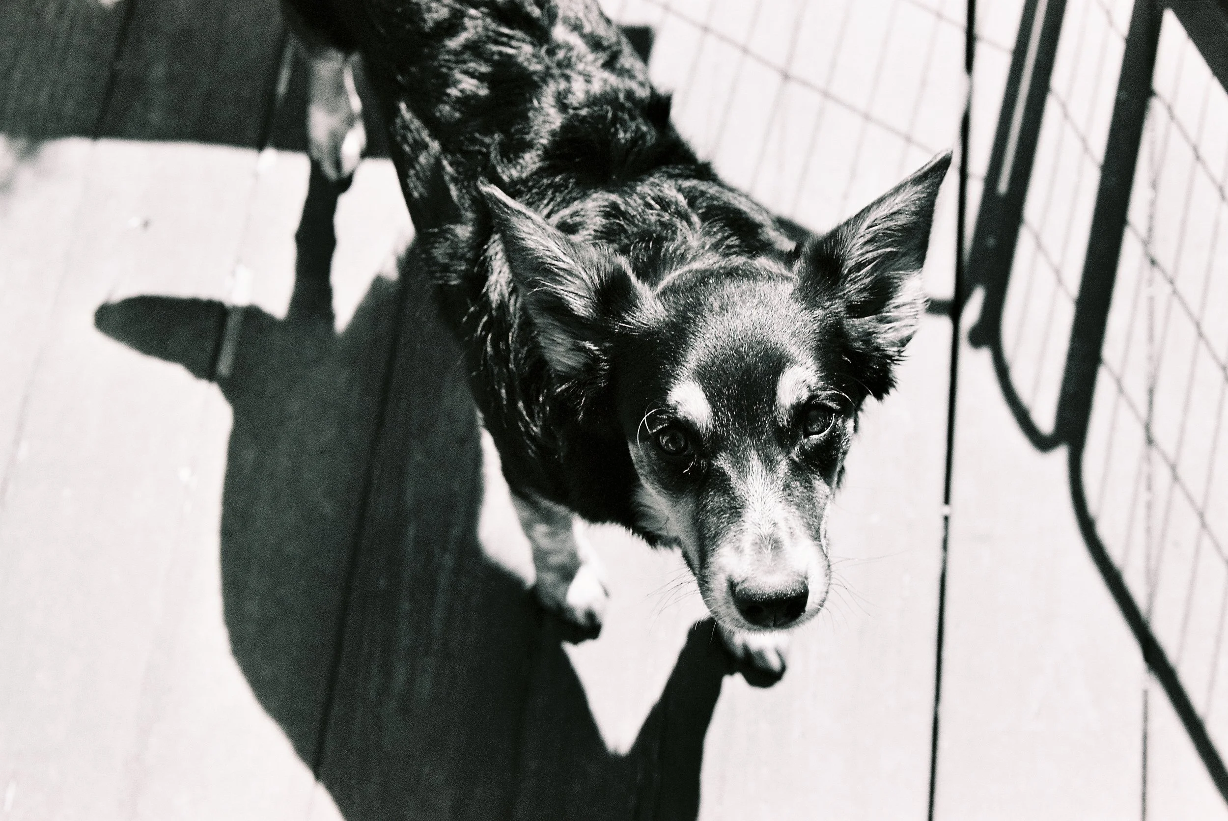 Experimenting with Ilford XP2 Super 400 35mm Film — Lauren Lakeberg